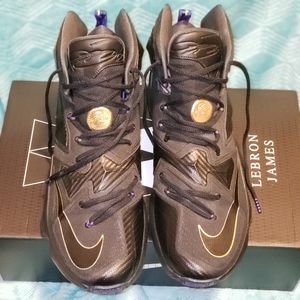 Nike Lebron James Xlll
